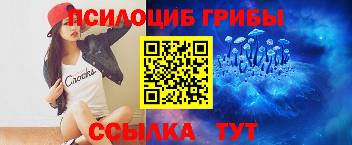 Галлюциногенные грибы Cubensis  Вход с VPN  Тулун 